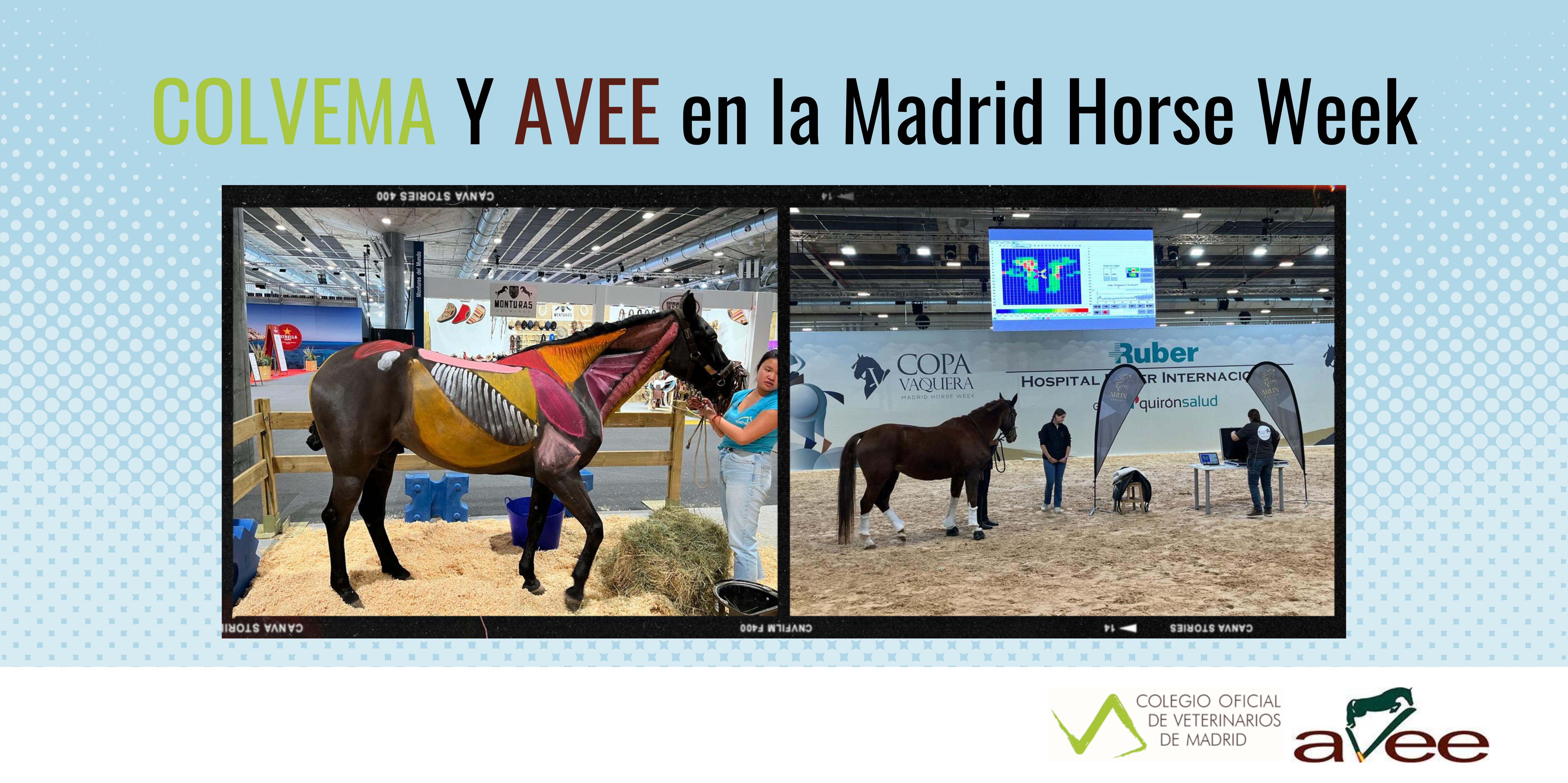 COLVEMA y AVEE en la Madrid Horse Week